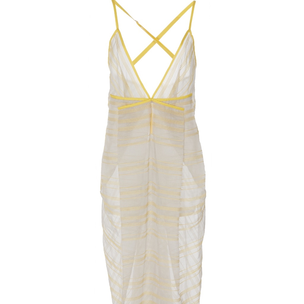 Anemone Sheer Dress